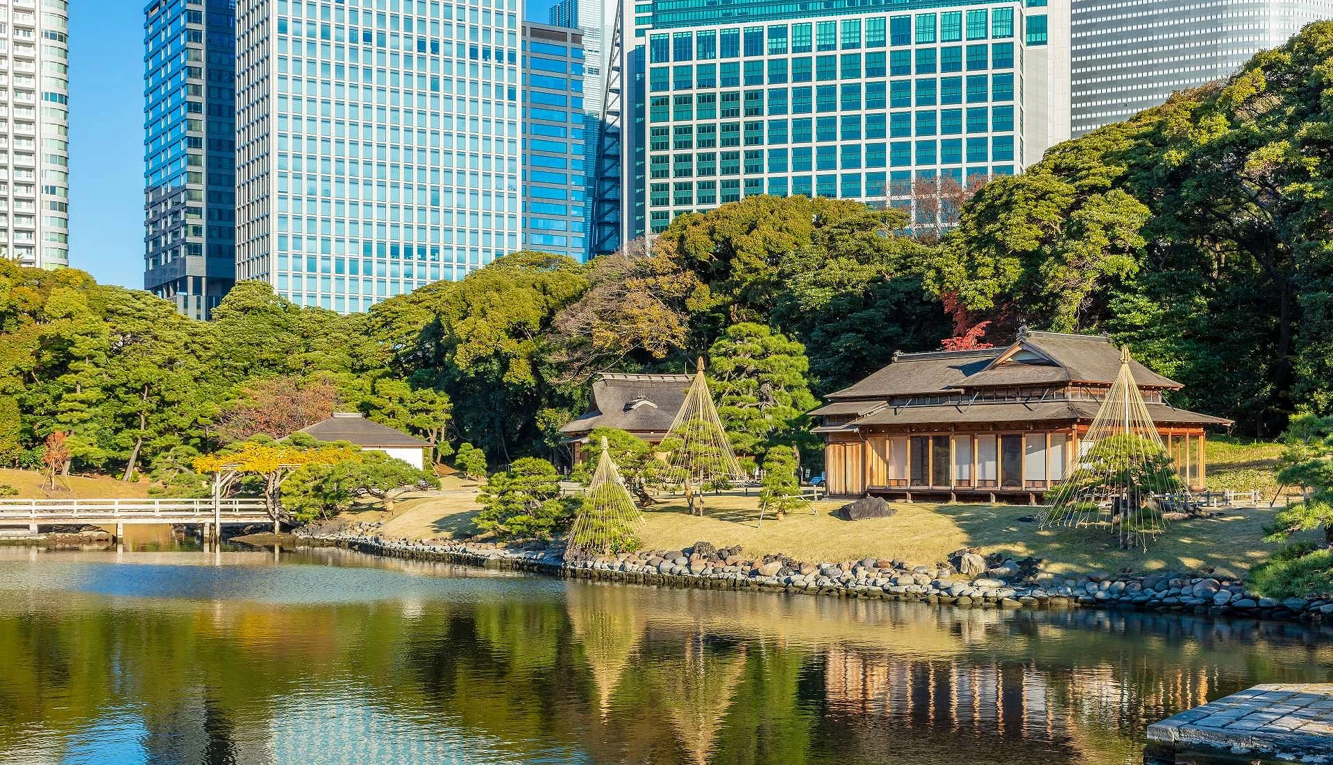 前面有一個池塘,後面有房屋建築,建築後面是一排綠色樹木,後面有高樓大廈