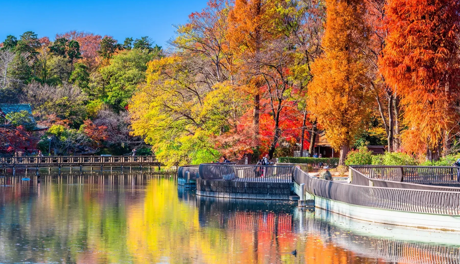 湖邊有金黃綠紅色的樹林和步道