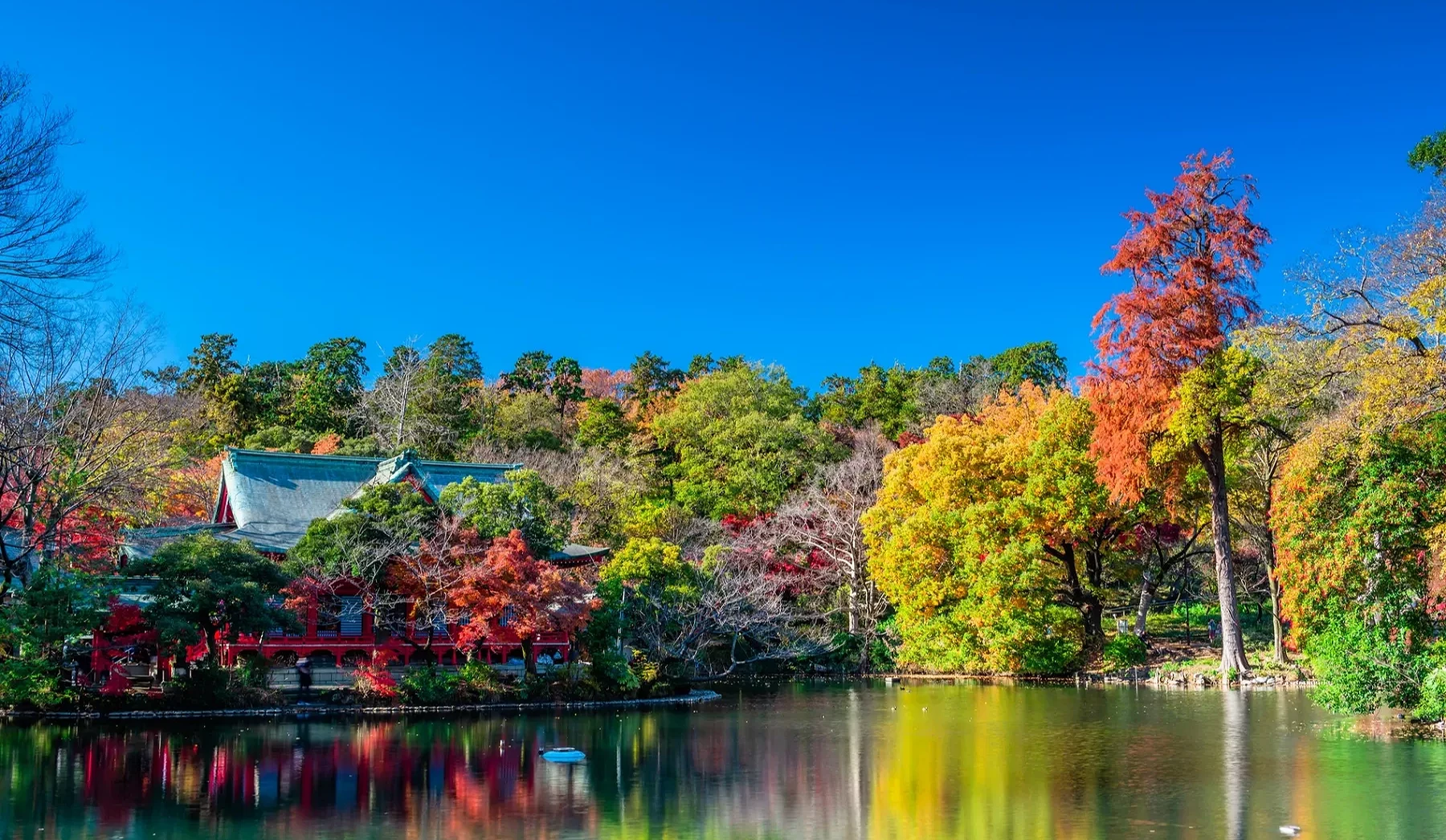 中間有一個湖,周圍有金黃綠紅色的樹林,以及一棟紅色建築