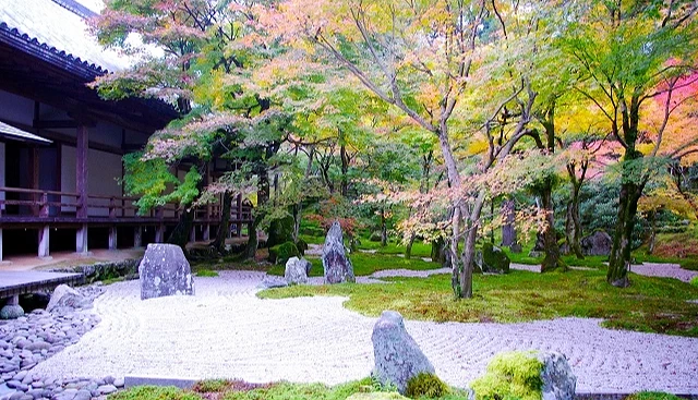 光明禪寺的枯山水庭園搭配秋楓景緻