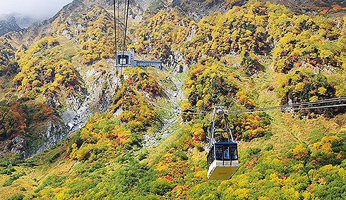 搭乘纜車欣賞整片山林紅葉組成的絕美秋景