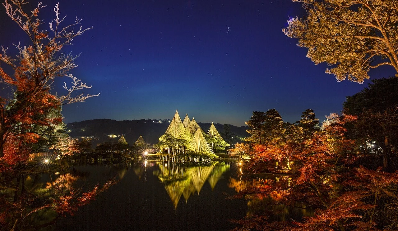 庭園及紅葉搭配夜間點燈更加唯美