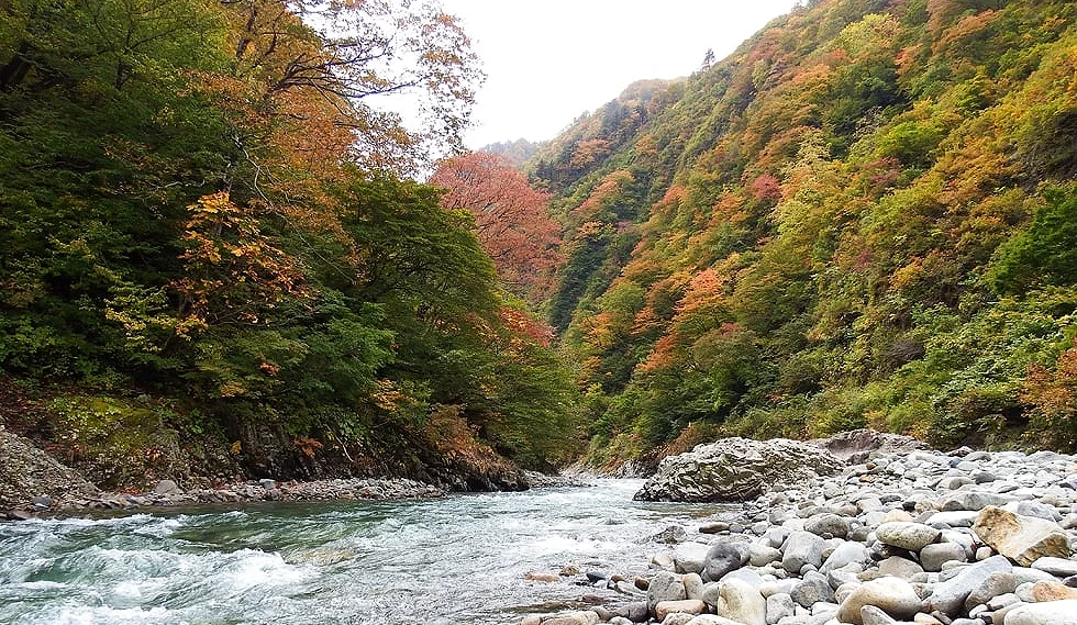 鬼斧神工的峽谷及紅葉的點綴
