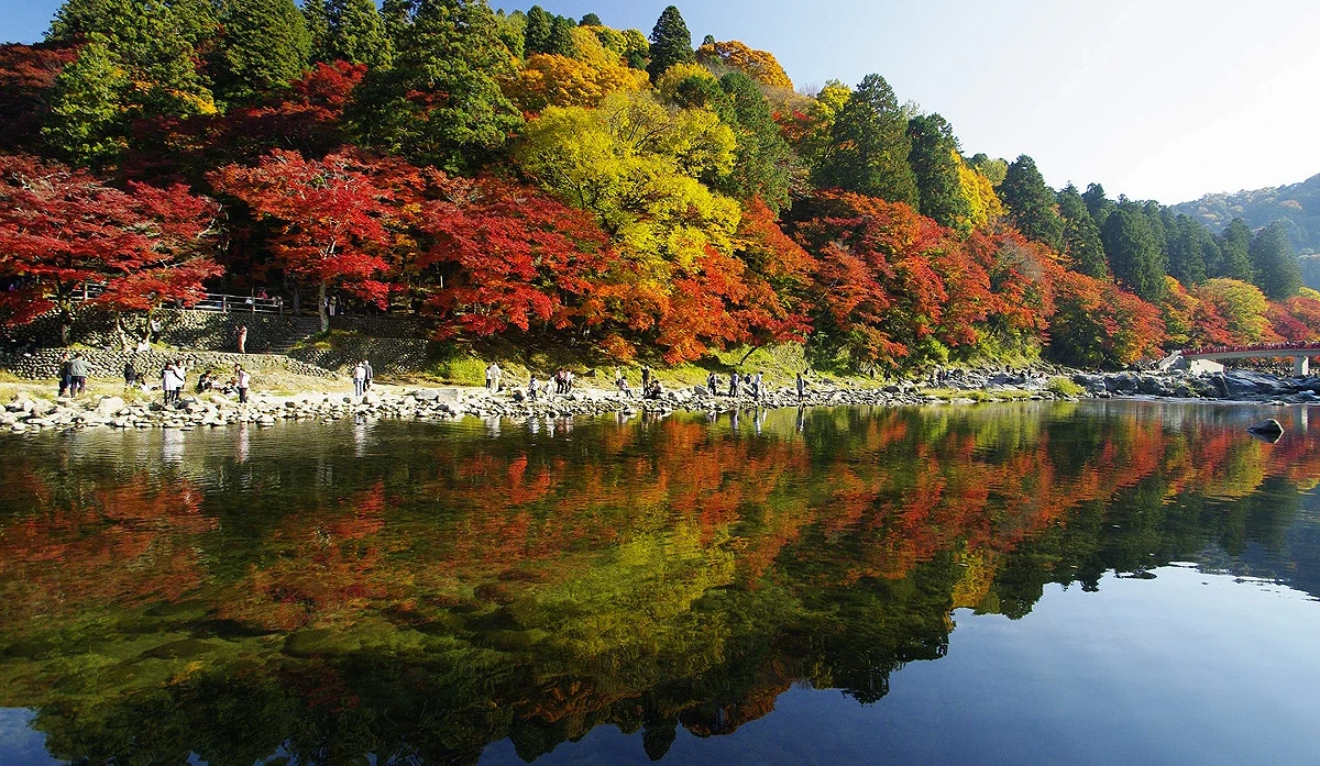 沿途可以欣賞到紅葉照映在溪流的美景