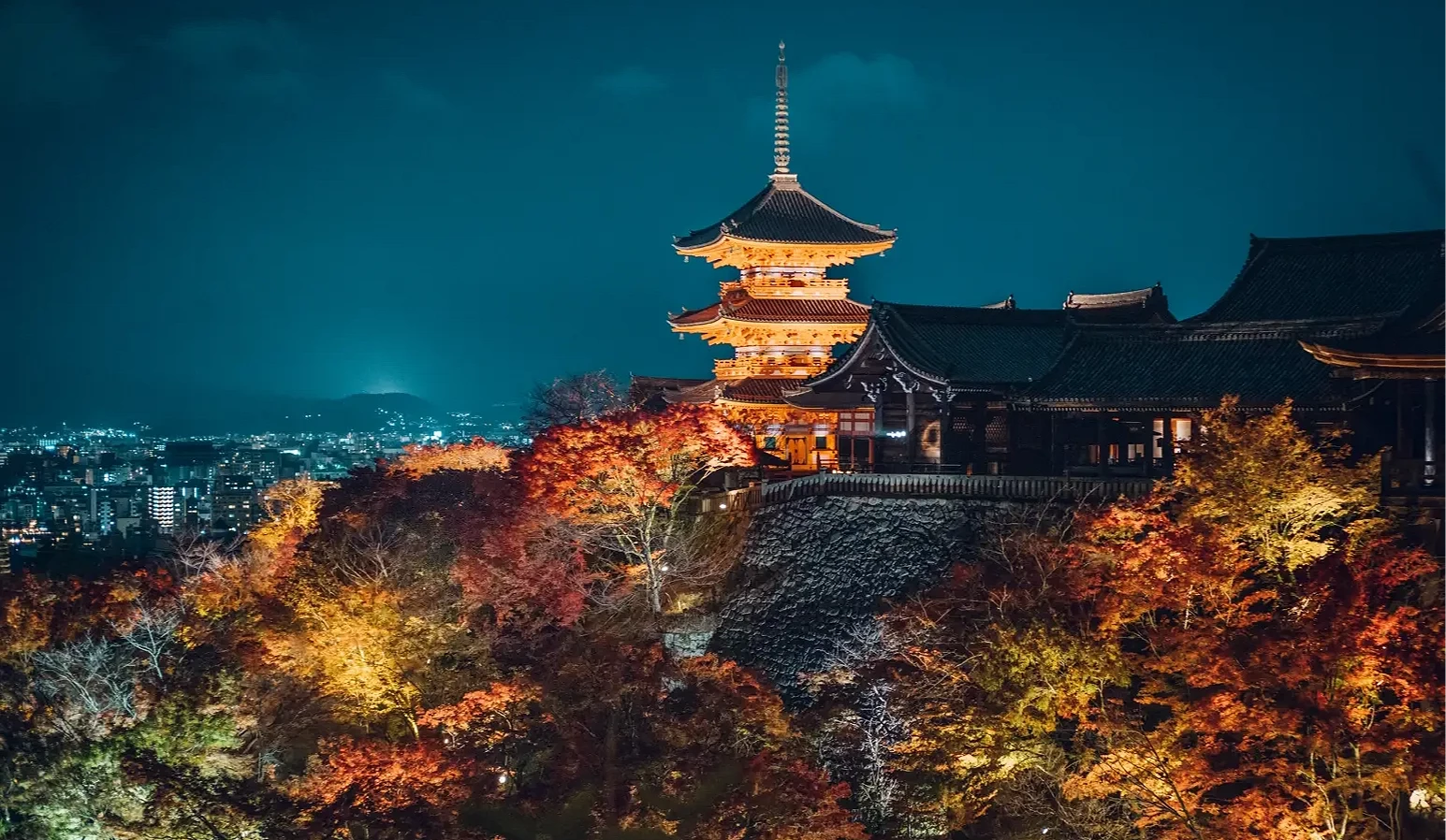 夜間火紅的楓葉與莊嚴「三重塔」相互輝映