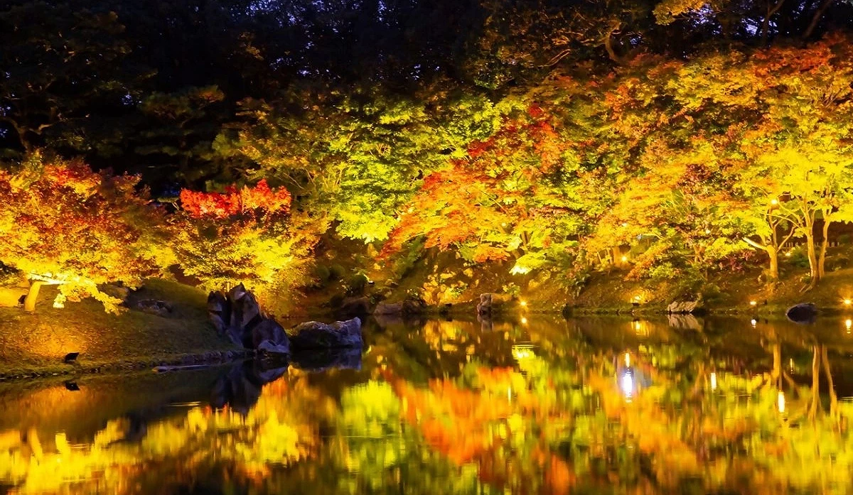 夜間點燈的紅葉照映在湖面上更加幽美