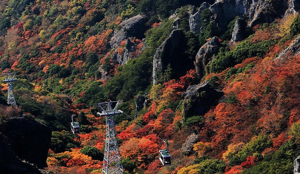 纜車及滿片山谷楓紅的絕美景觀