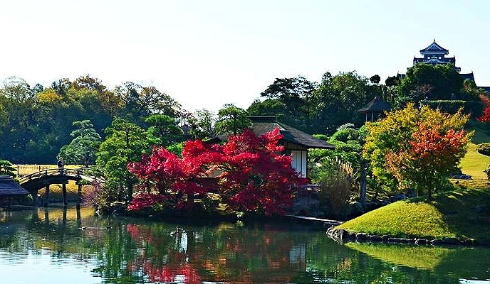 岡山紅葉景點後樂園庭園