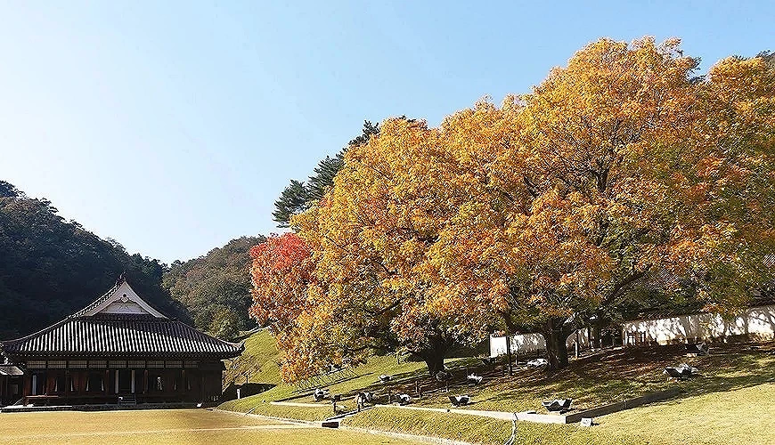 岡山紅葉景點舊閑谷學校景色