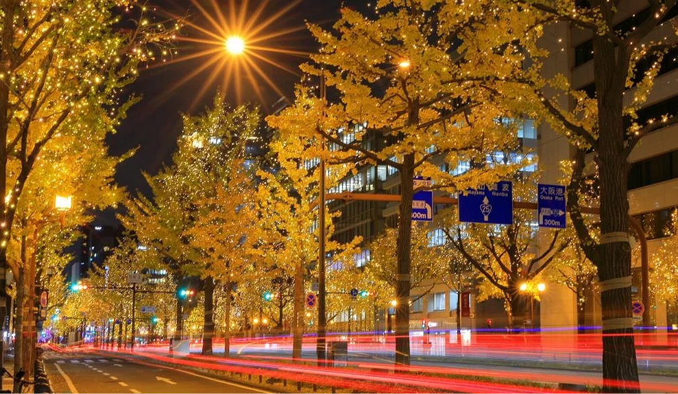 入夜後的御堂筋大道銀杏,有燈光點綴與車陣霓虹