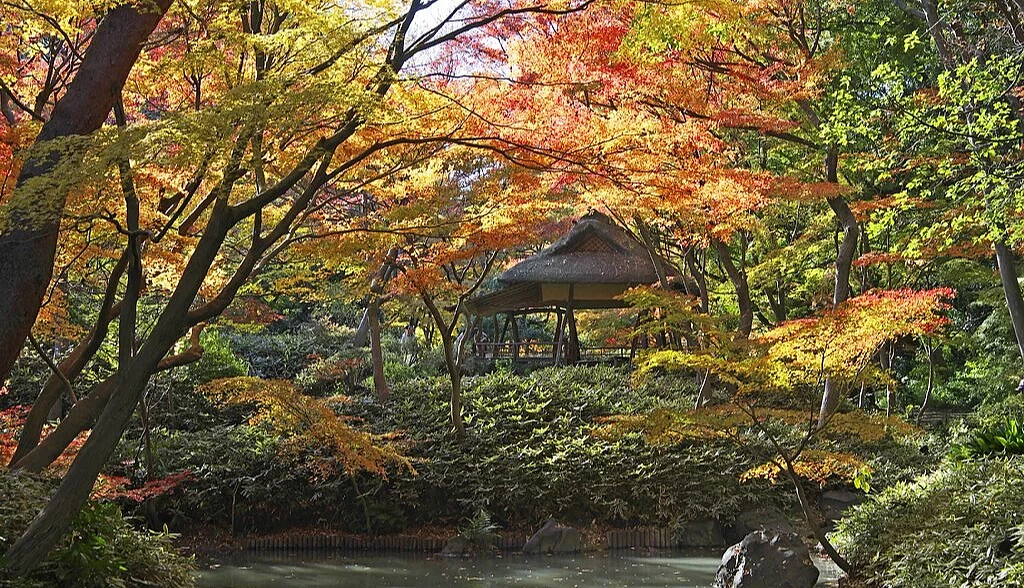 左右兩側為綠色,金黃色紅色的樹木,下面有池塘跟涼亭