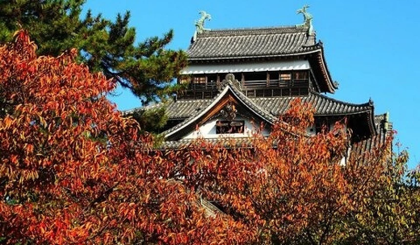 松江紅葉景點松江城天守閣