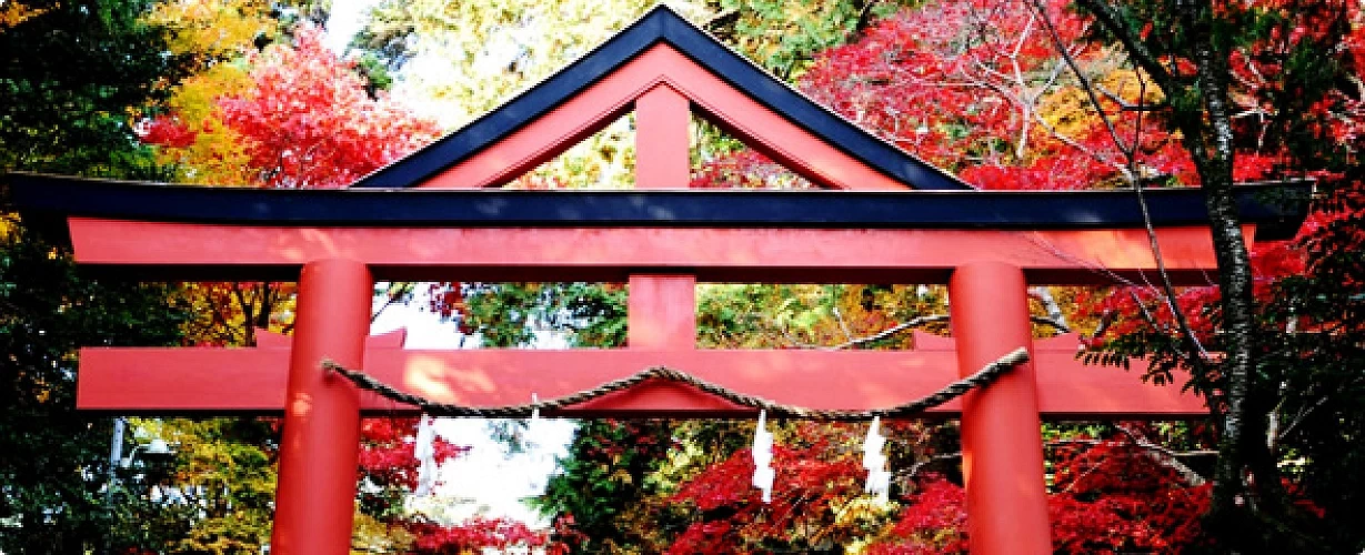 紅色鳥居立於林間,背後為層層秋季楓葉