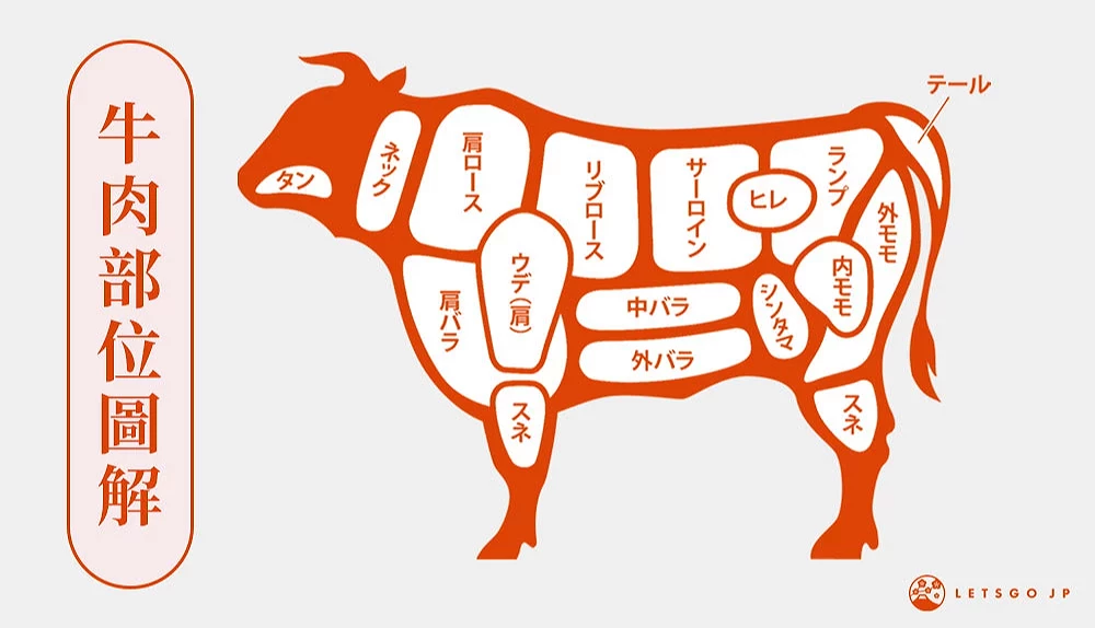 牛肉各部位日文圖解