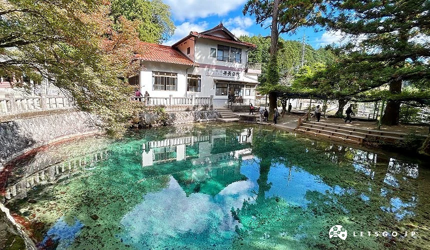 別府弁天池的池水非常清澈