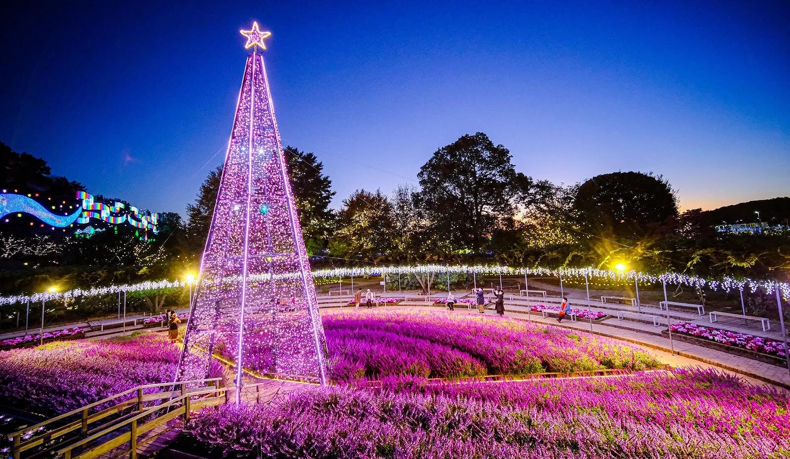 2026足利花卉公園點燈