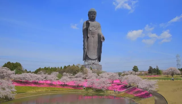 「牛久大佛」全攻略：世界最大青銅佛像，門票及交通資訊、參觀亮點整理