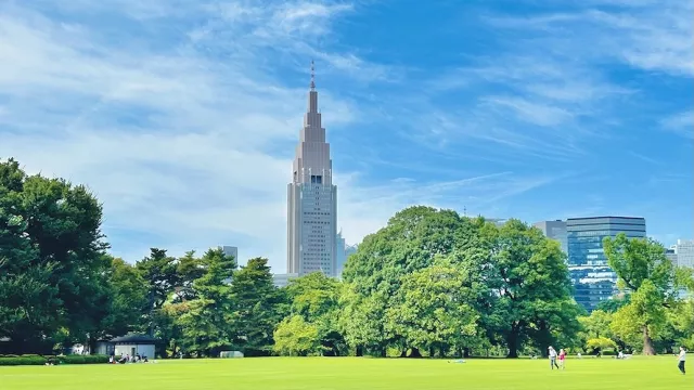 新宿御苑攻略：賞櫻楓葉、門票預約、新宿御苑前站交通整理