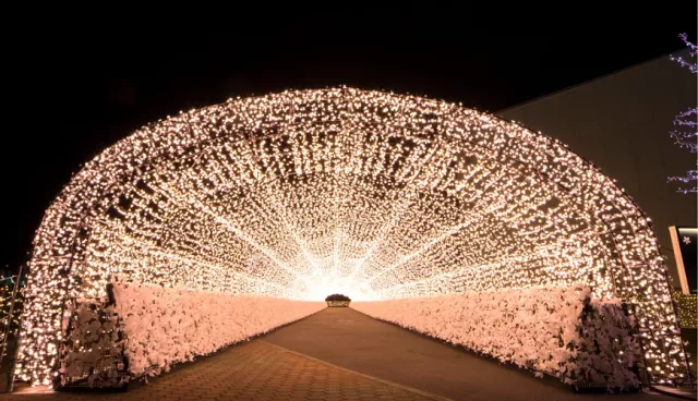 東京競馬場點燈「TOKYO MEGA ILLUMI」：購票連結、優惠券整理