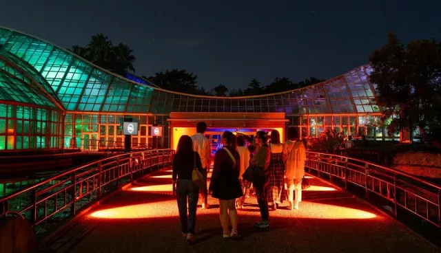 京都府立植物園化身光影藝術舞台！紅葉與光影共演的絕美秋夜散步