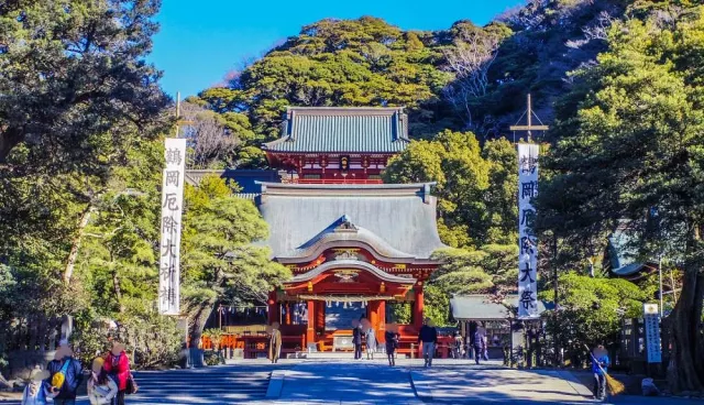 鎌倉鶴岡八幡宮參拜攻略：櫻花隧道、鴿子御守、交通與門票資訊一次看