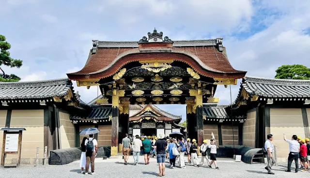 京都二條城攻略：門票、開放時間、交通、必拍景點與夜間點燈、路線建議