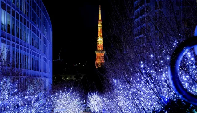 六本木景點、逛街、交通完整指南：美食與住宿、夜景與季節點燈資訊整理