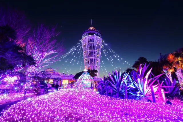 寶石燈彩包圍江之島！「湘南寶石～江之島繽紛光彩祭典～」今冬開跑