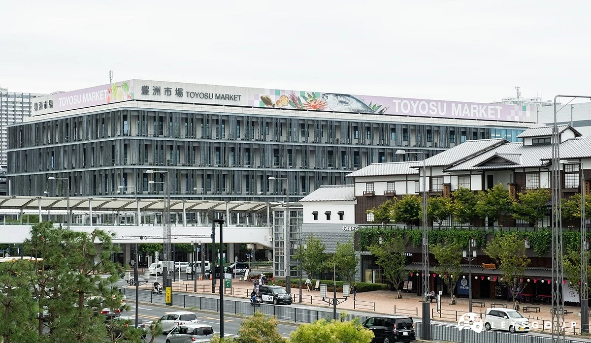 豐洲市場