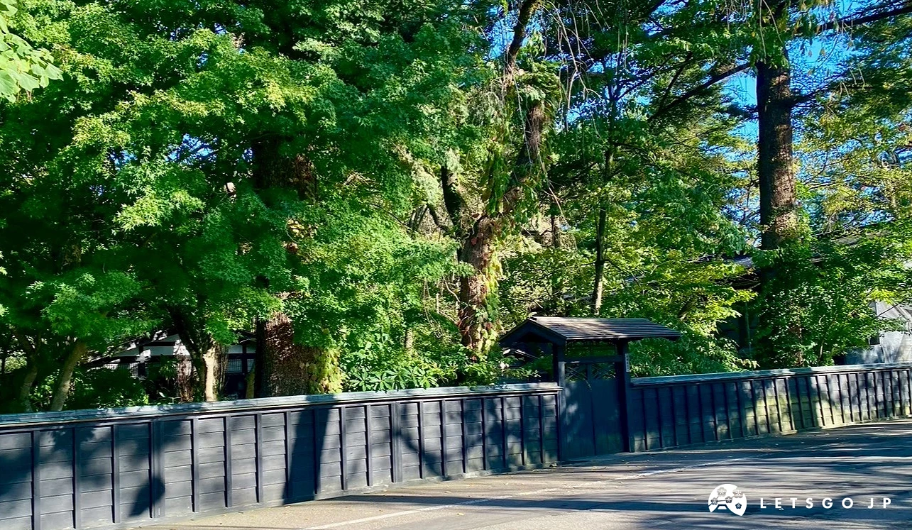 日本角館武家屋敷,古老的石牆和綠樹組成的街道。