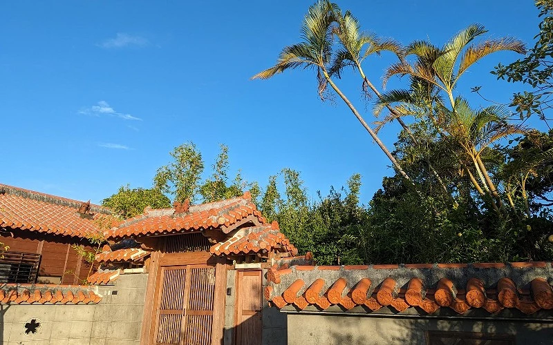 傳統紅瓦屋頂與木門的庭院外觀,背景有棕櫚樹與藍天