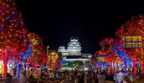 夜晚的姬路城聖誕燈飾景象,街道兩旁的樹木以紅色與藍色燈光點綴,遠方可見白色姬路城亮起燈光