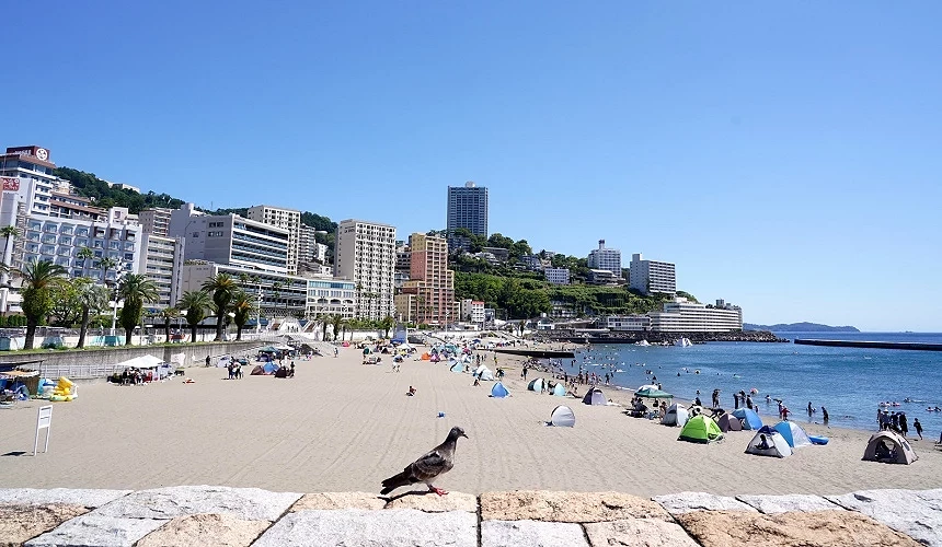 晴空下的熱海太陽海灘,遊客在沙灘與海邊享受戲水時光