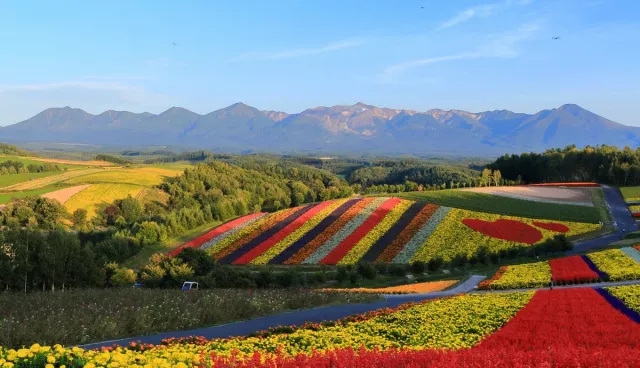 2026北海道景點推薦20選：必去地標、賞花賞楓、親子同遊、近郊溫泉與美食 的縮圖