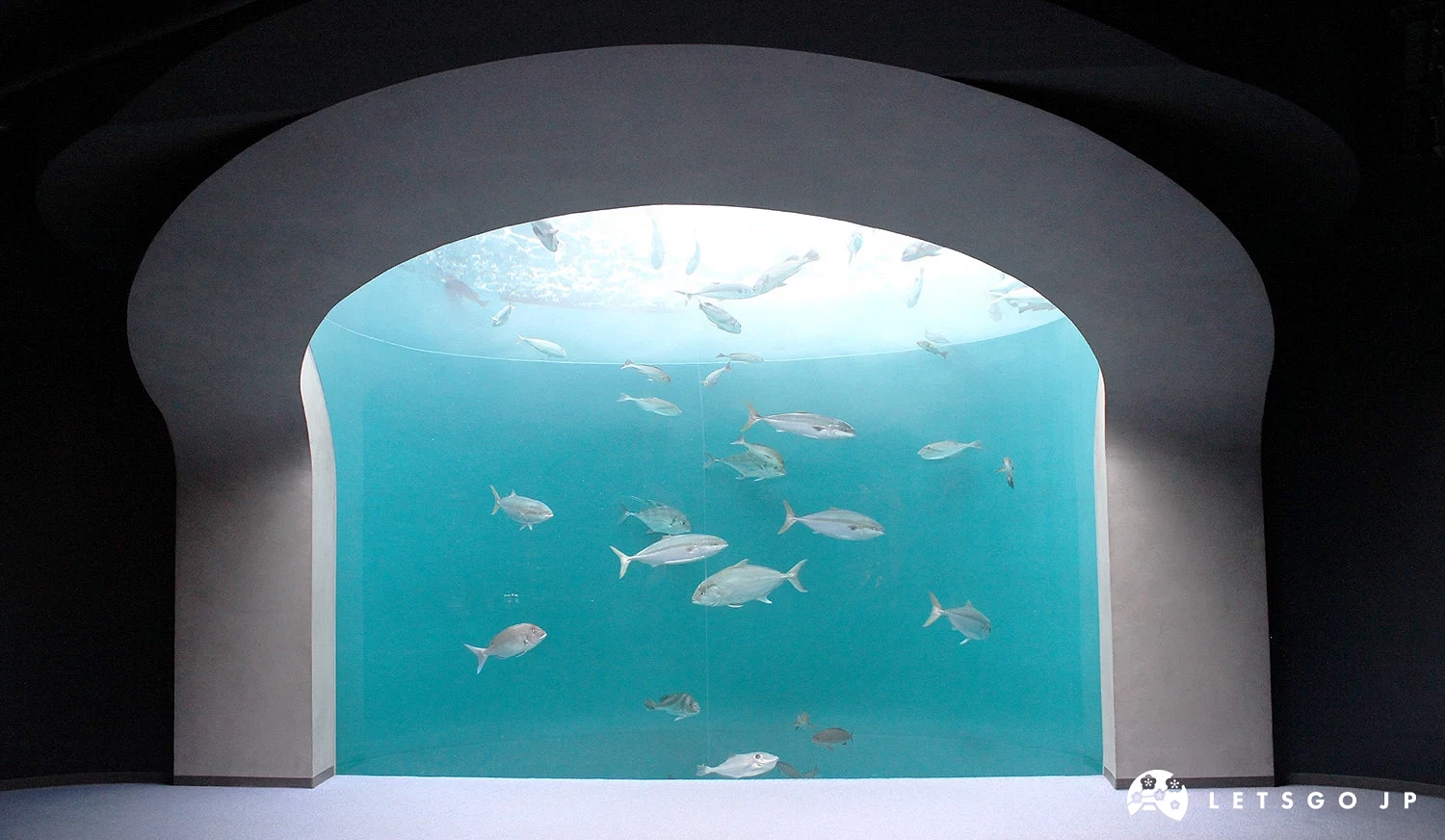 「四國水族館」中的90度環景水族箱。