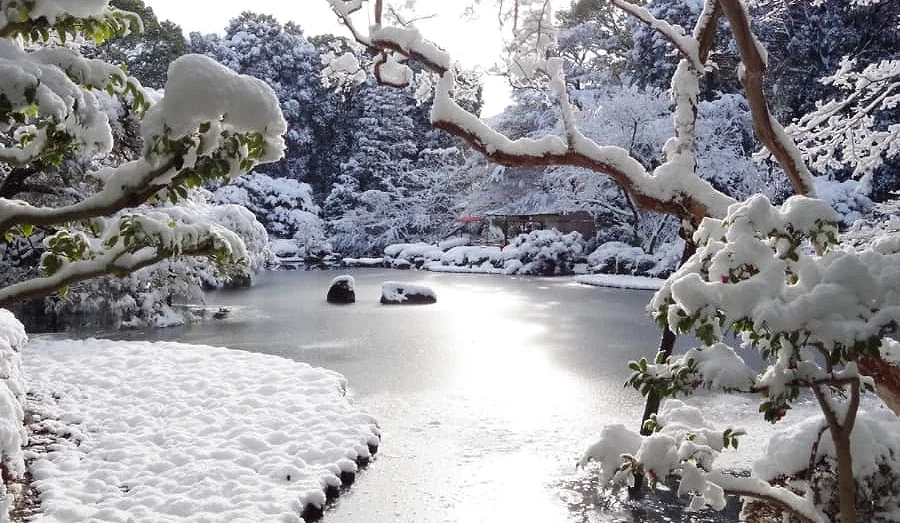 白雪覆蓋在庭院呈現唯美景觀