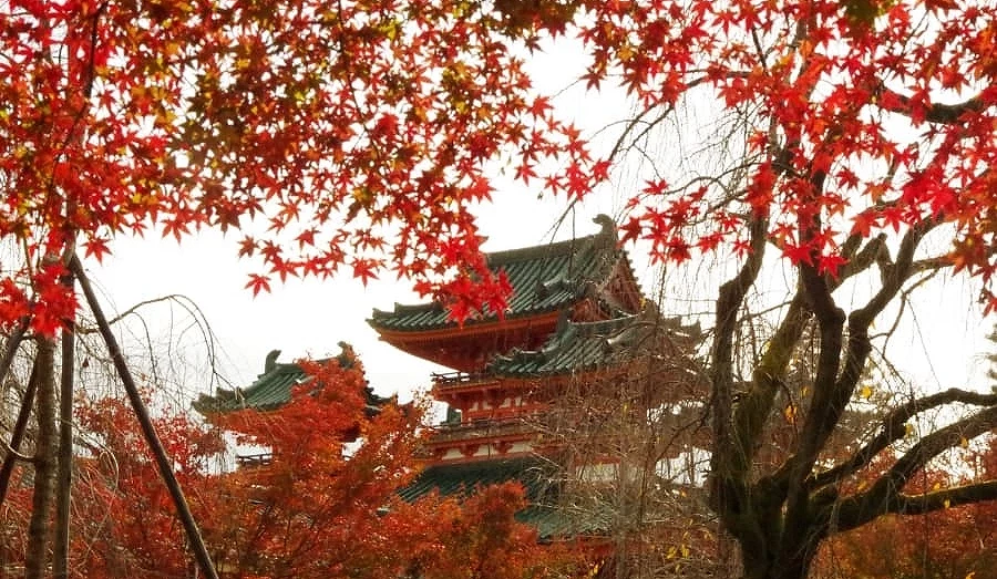 紅葉的襯托下更凸顯古都之美