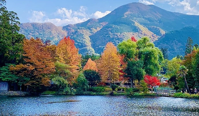 由布院金鱗湖的紅葉