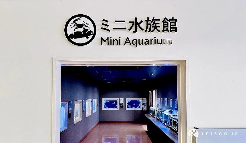 館內的迷你水族館可以近距離觀察有明海的海中生物攝影:Angie
