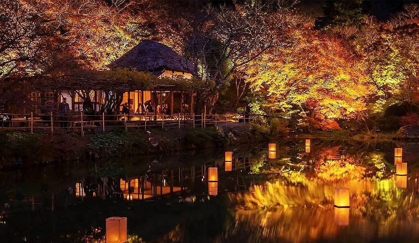 「御船山樂園」夜楓提供:御船山樂園