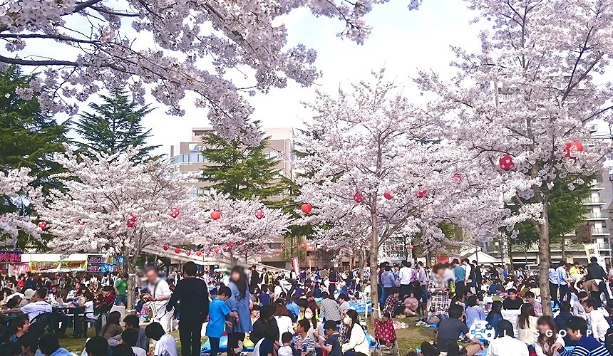 仙台西公園櫻花祭活動的盛況