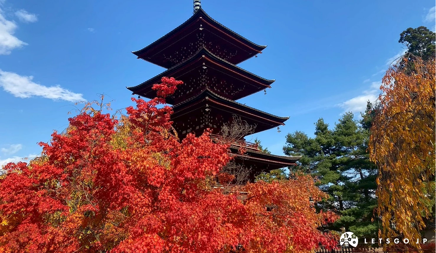 最勝院五重塔與鮮紅楓葉相互映襯