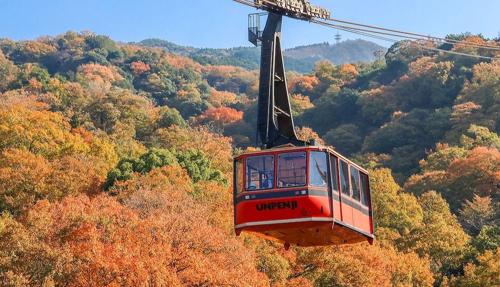 紅葉山林與紅色纜車