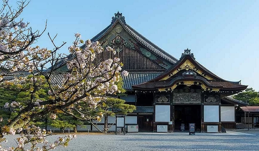 二條城內建築與櫻花
