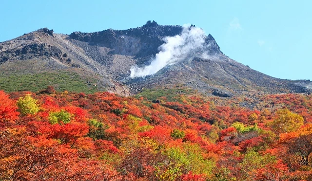 那須高原的那須岳(茶臼岳)秋季景色,前景為紅黃交錯的楓葉林,後方可見火山山體與白色蒸氣