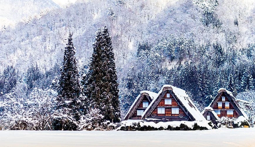 白川鄉合掌村的多棟合掌造民居被白雪覆蓋,周圍杉木與山林也披上一層積雪