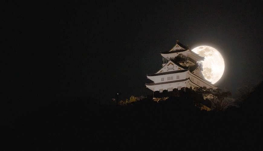 夜色中的岐阜城映襯著升起的滿月,天守閣剪影與亮麗月輪重疊,形成壯麗而神秘的夜景畫面
