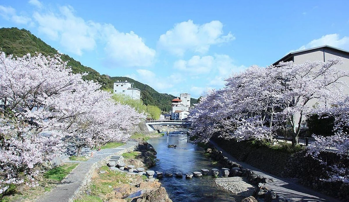 白天盛開的櫻花沿河綿延,遠方可見山景