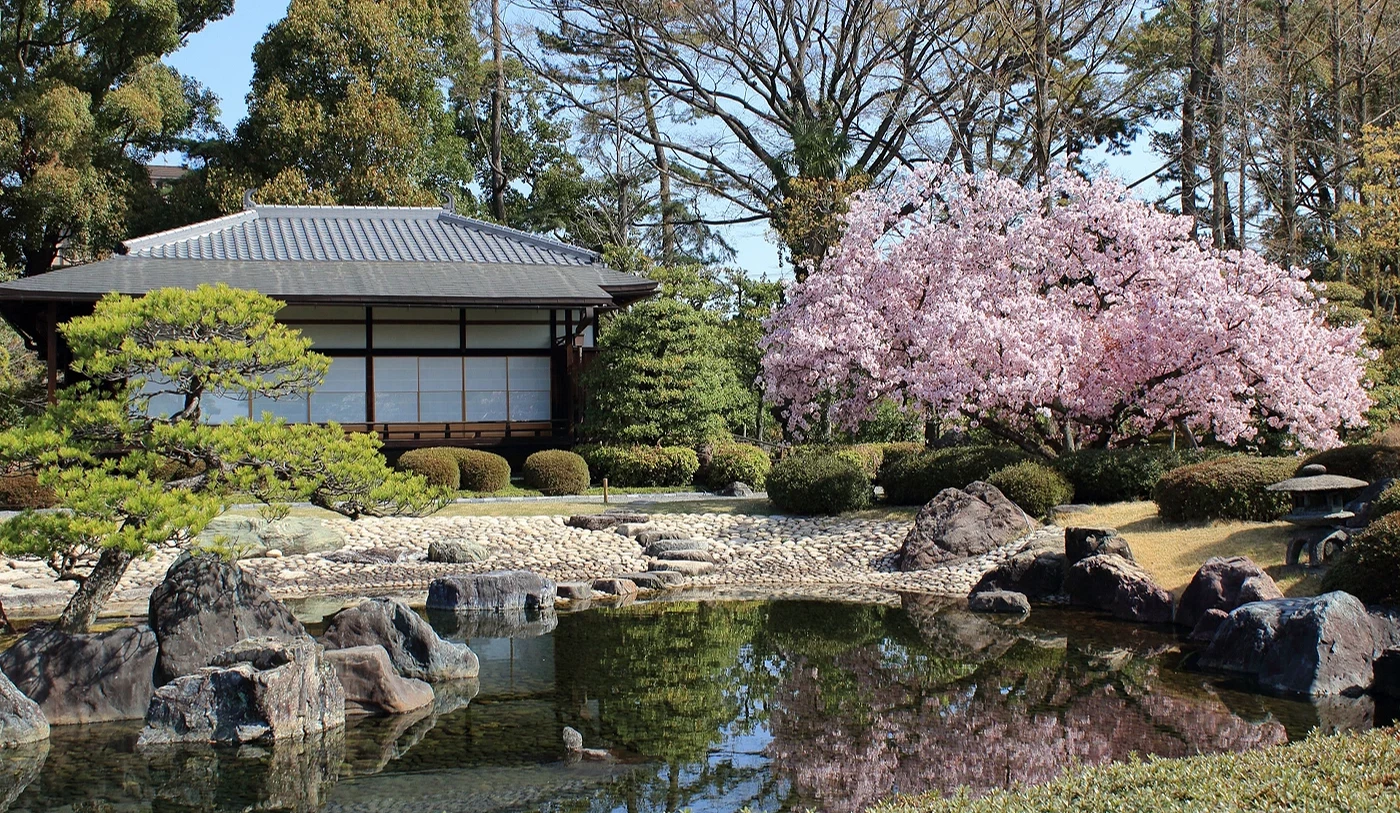 日式庭園建築與松和櫻花