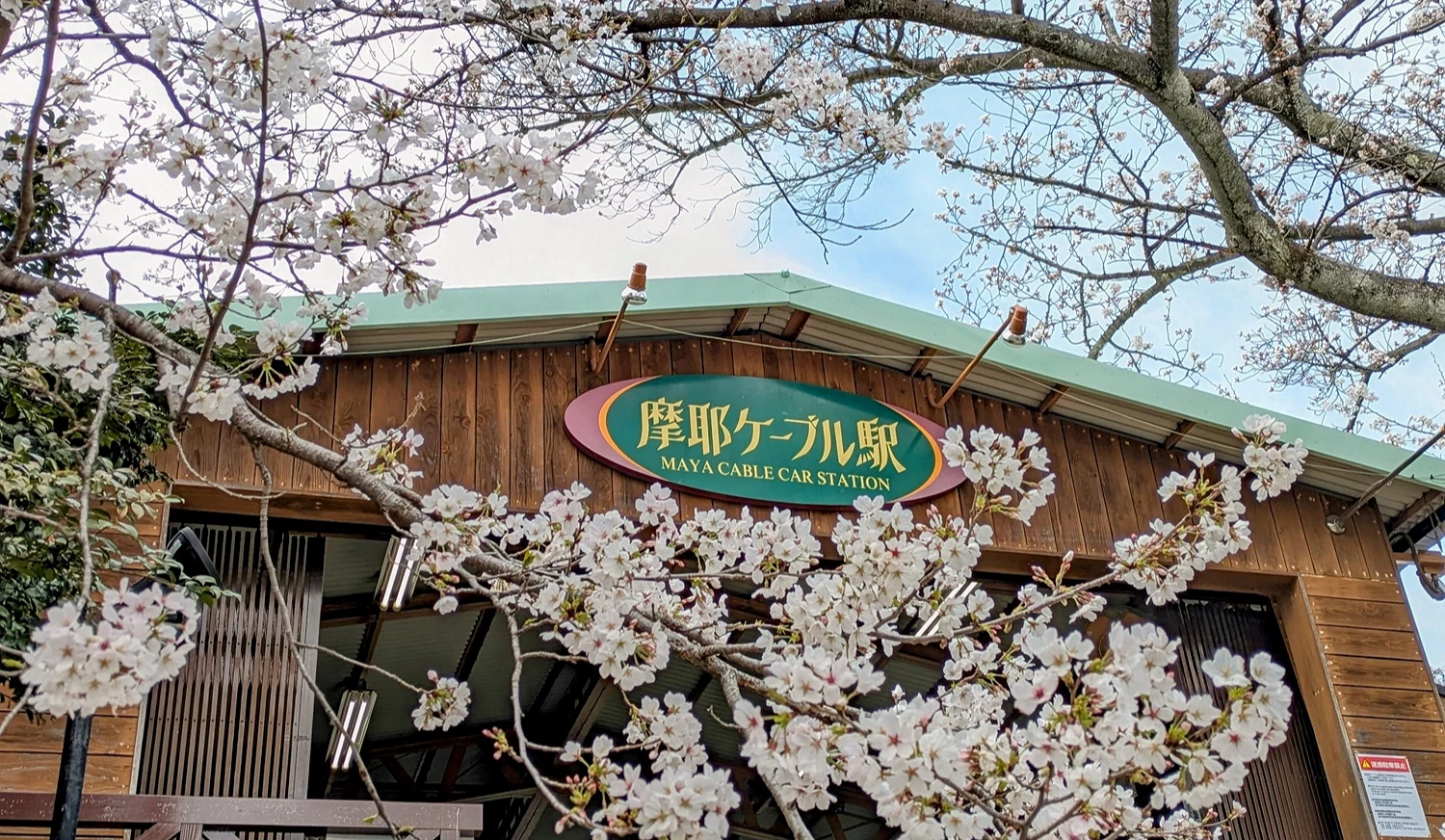 摩耶山纜車的招牌被櫻花團簇